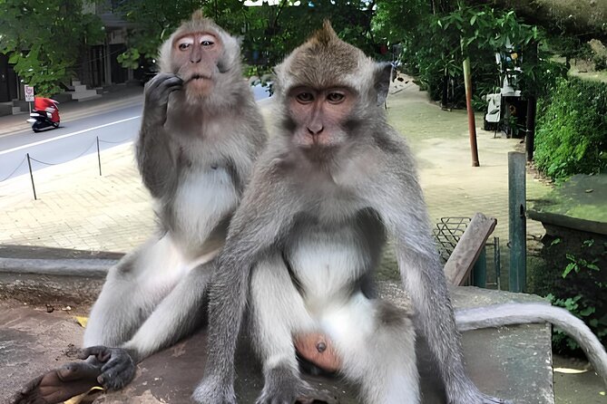 Ubud Highlights Rice Terraces, Temple, Waterfall & Monkeys forest - Tegenungan Waterfall: bring clothes for the water