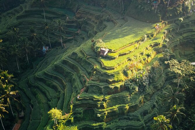Ubud Iconic Full Day Tour Monkey Forest Rice Terraces Waterfalls - Ubud Traditional Art Market and shopping with a limit