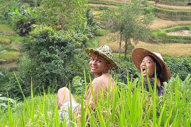 Ubud : Kintamani Downhill Cycling Tour with Lunch - Rice fields and quiet roads at bicycle speed