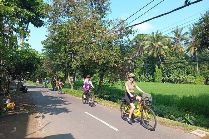 Ubud : Kintamani Downhill Cycling Tour with Lunch - Transport makes the day much easier