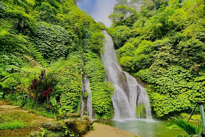 Ubud : Kintamani Downhill Cycling Tour with Lunch - What the $29.90 price really includes