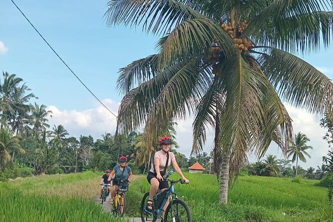 Ubud : Kintamani Downhill Cycling Tour with Lunch - Through schools, temples, and village life