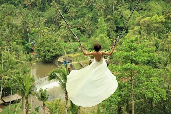 Ubud: Monkey Forest, Jungle Swing, Rice Terrace, and Water Temple - One long day through Ubud’s countryside