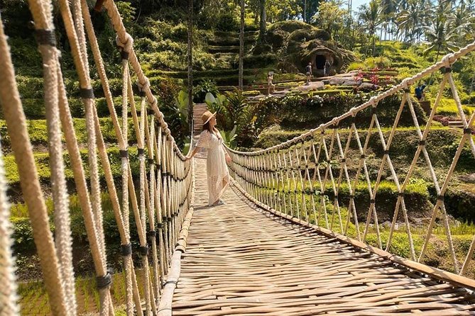 Ubud: Monkey Forest, Jungle Swing, Rice Terrace, and Water Temple - Sacred Monkey Forest, with a few rules