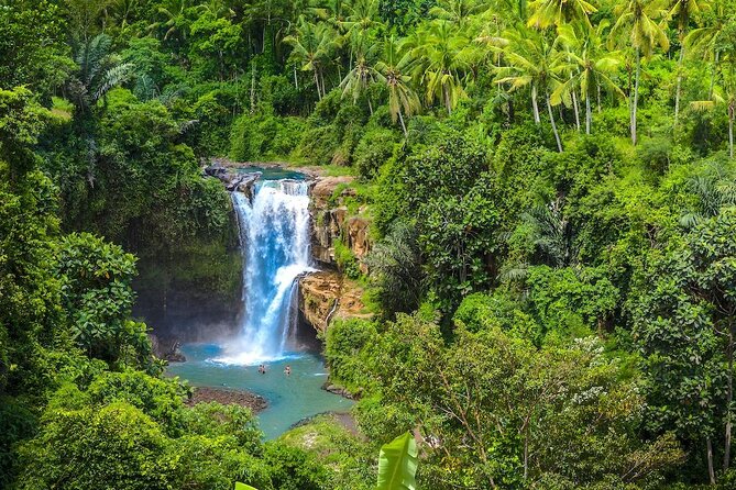 Ubud: Monkey Forest, Jungle Swing, Rice Terrace, and Water Temple - Happy Swing Bali and the photo factor
