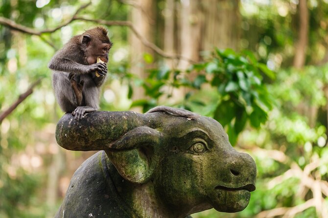 Ubud: Monkey Forest, Rice Terraces & Sacred Temples - A full day through Ubud’s sacred places