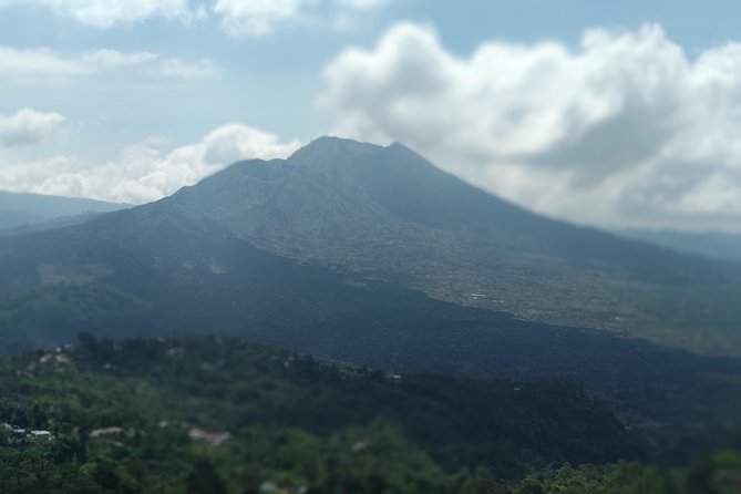 Ubud Private & Customize Day Tour - Why a private Ubud route can work so well