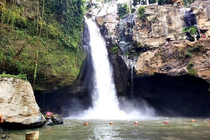 Ubud Private Tour : Best Of Ubud - Guided Tour - Finding Ulu Petanu Waterfall