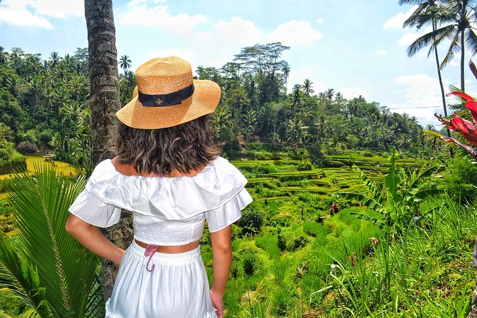 Ubud Private Tour : Choice Your Own Trip - Tegenungan Waterfall for a short nature break