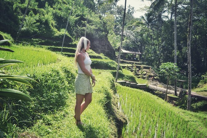 Ubud Private Tour : Choice Your Own Trip - Blanco Museum for art and hilltop views