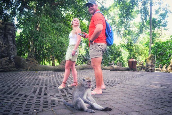 Ubud Private Tour : Choice Your Own Trip - Adding a Bali Swing without losing the day