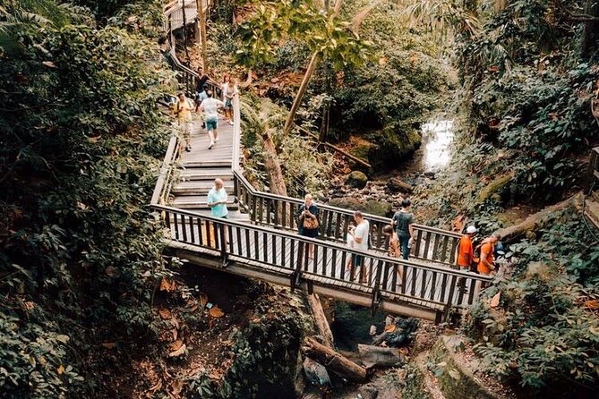 Ubud Private Tour: Monkey Forest, Rice Terrace, Temple, Waterfall - A full Ubud day from the southern coast