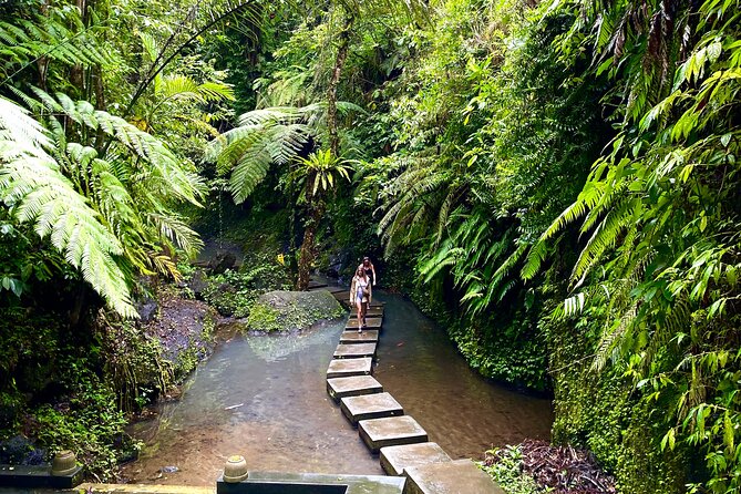 Ubud Private Tour: Monkey Forest, Rice Terrace, Temple, Waterfall - Lunch at Tebasari Resto