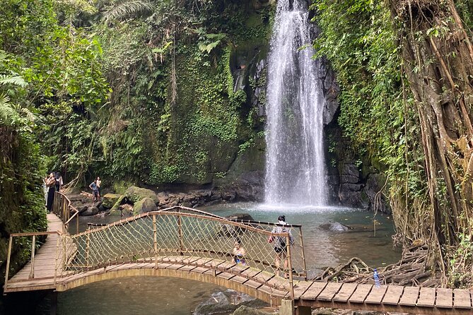 Ubud Private Tour: Monkey Forest, Rice Terrace, Temple, Waterfall - Understanding Tirta Empul Temple