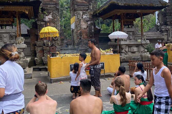 Ubud Private Tour: Monkey Forest, Rice Terrace, Temple, Waterfall - What the $27 price really covers