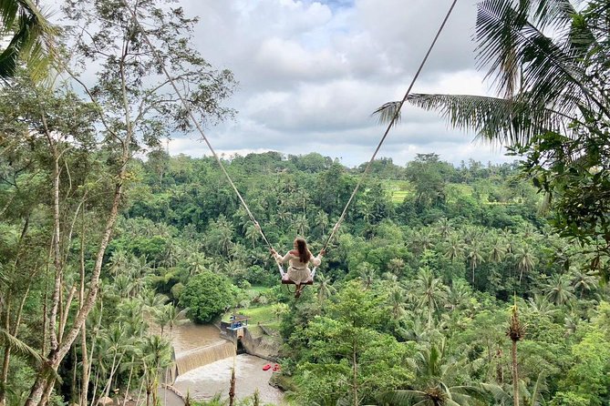 Ubud Private Tours with Jungle Swing Experience - all inclusive - Sangeh Monkey Forest adds trees and wildlife