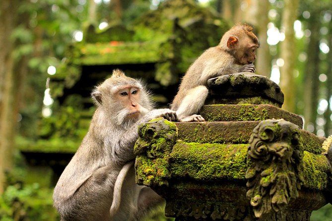 Ubud Sacred Monkey Forest & Art Village Tour - Mas, where wood carving shapes the visit