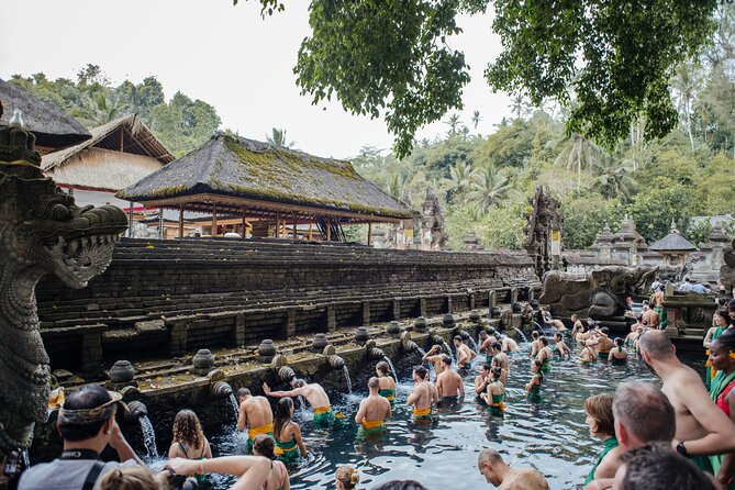 Ubud Small Group Tour: Monkey Forest, Tegalalang Rice Terraces and more - What this Ubud day tour actually gives you