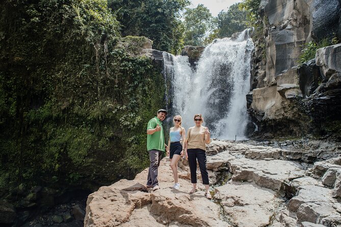Ubud Small Group Tour: Monkey Forest, Tegalalang Rice Terraces and more - Monkey Forest brings close contact with Bali’s macaques