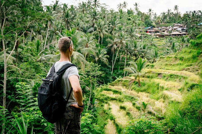 Ubud Small Group Tour: Monkey Forest, Tegalalang Rice Terraces and more - Tegalalang shows Bali’s famous rice terraces