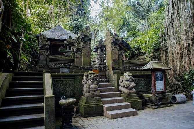 Ubud Small Group Tour: Monkey Forest, Tegalalang Rice Terraces and more - The guides are the main strength