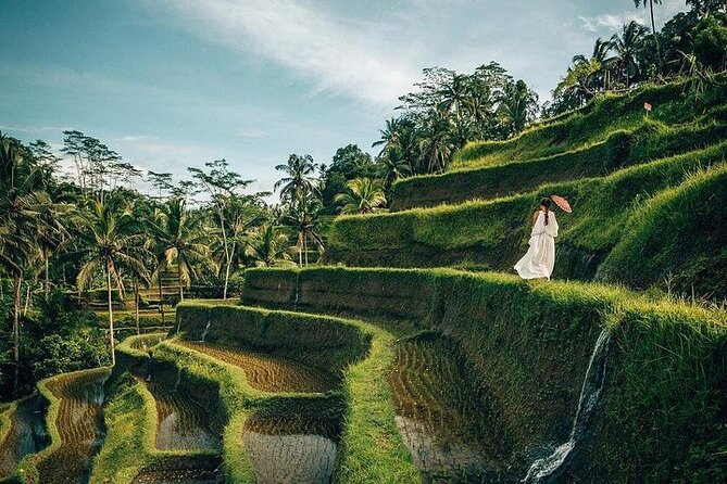 Ubud: Swing - Monkey Forest - Waterfall - Temple - Rice Terraces - Art Crafts - What this private Ubud day is really like