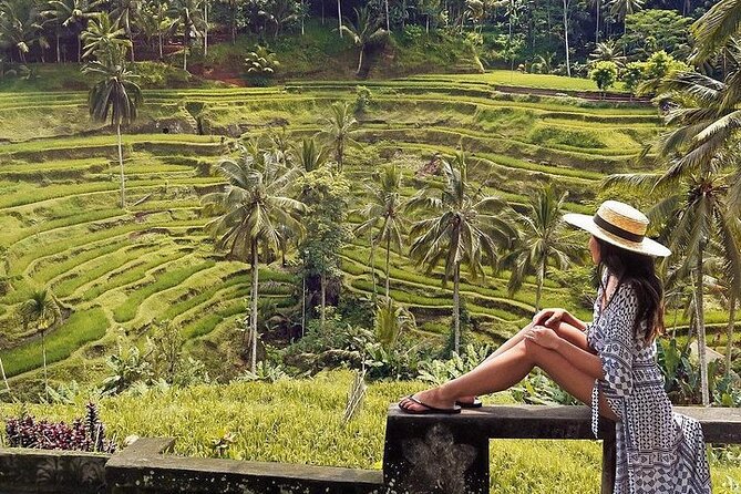Ubud: Swing - Monkey Forest - Waterfall - Temple - Rice Terraces - Art Crafts - Tirta Empul explains Balinese purification rituals