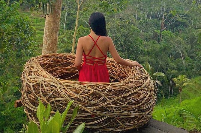 Ubud: Swing - Monkey Forest - Waterfall - Temple - Rice Terraces - Art Crafts - Why the driver can make or break the day