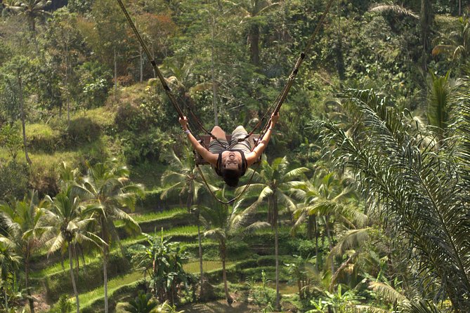 Ubud Top Attractions: Waterfalls, Temples and Rice Terraces - Your driver-guide makes or breaks the day