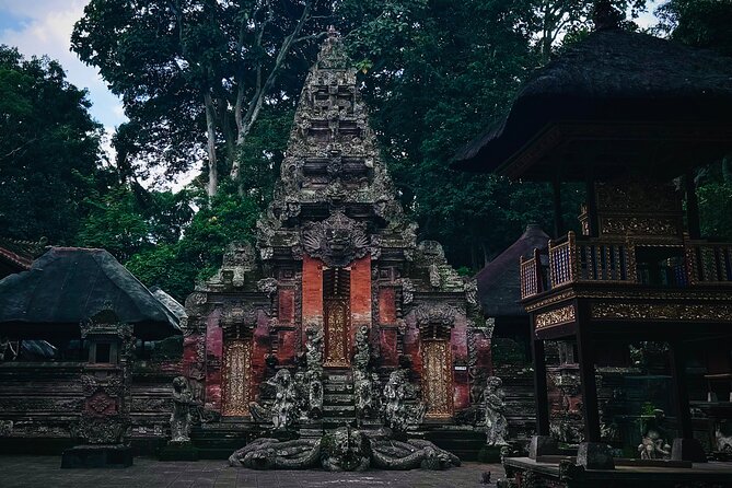 Ubud Top Tours to Discover Bali’s Cultural and Natural Wonders - Why a private driver changes the day