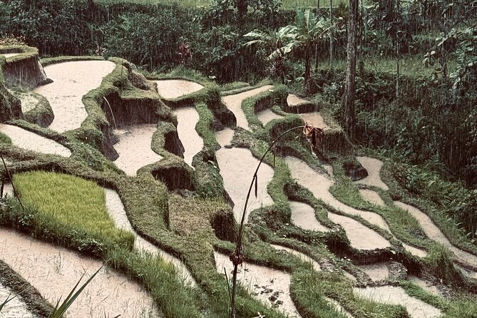 Ubud Top Tours to Discover Bali’s Cultural and Natural Wonders - What is included, and what you still need to plan