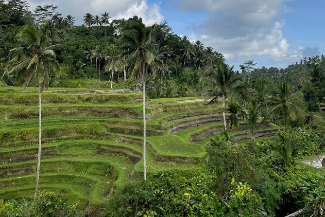 Ubud Tour - Highlight of Ubud - Traditional Tour - Tegenungan Waterfall, a change of pace