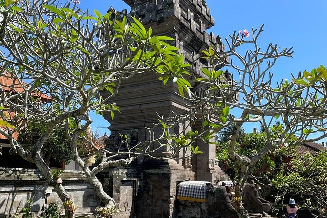 Ubud Tour - Highlight of Ubud - Traditional Tour - Sacred Monkey Forest Sanctuary, Ubud’s most famous stop
