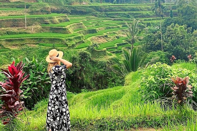 Ubud Tour - Ubud Highlight - Private Tour All inclusive - Sacred Monkey Forest brings you close to Ubud’s animals