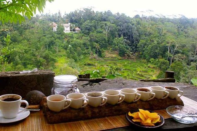 Ubud Trip, The Best of Ubud in a day - All Inclusive - Celuk Village: traditional silver and gold work