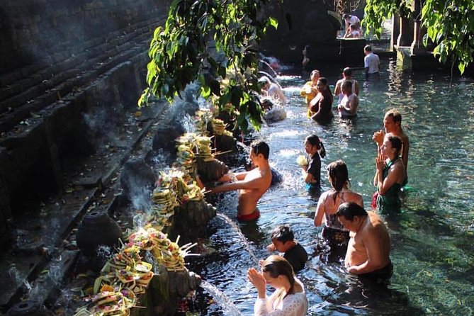 Ubud Trip, The Best of Ubud in a day - All Inclusive - What the $48.73 price really covers