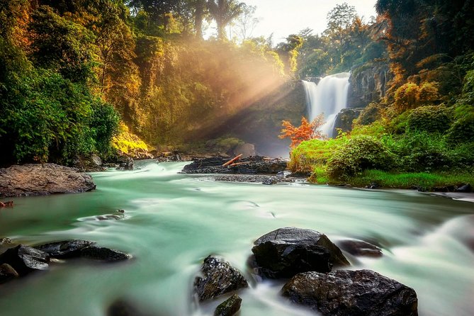 Ubud Village Sightseeing, Famous Paddy Field And Ubud Waterfall - Seeing Tegalalang’s famous rice terraces