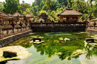 Ubud Village Sightseeing, Famous Paddy Field And Ubud Waterfall
