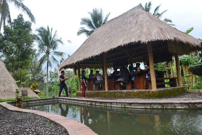 Ubud Village Sightseeing, Famous Paddy Field And Ubud Waterfall - The role of your driver