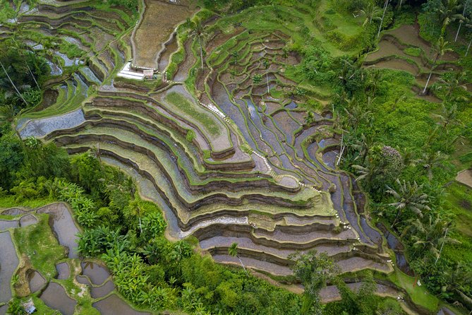 Ubud Volcano Lake and Natural Hot Spring Tour - Is $35 a good value?