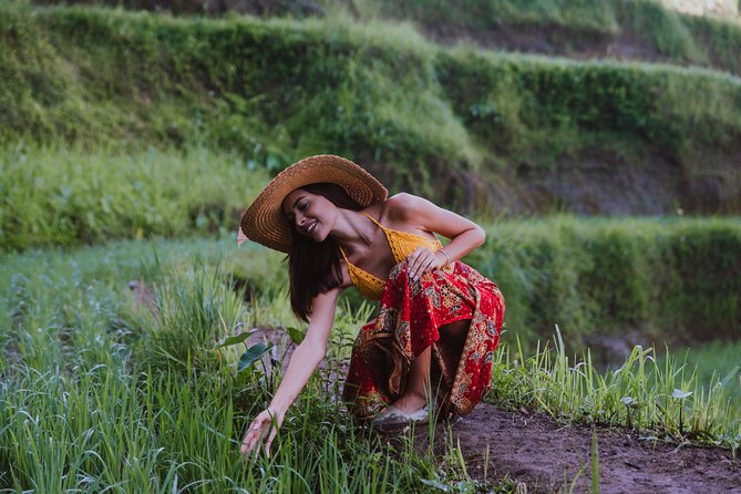 Ubud: Waterfall, Rice Terraces, and Monkey Forest Private Tour - Luwak Coffee and the Plantation Stop