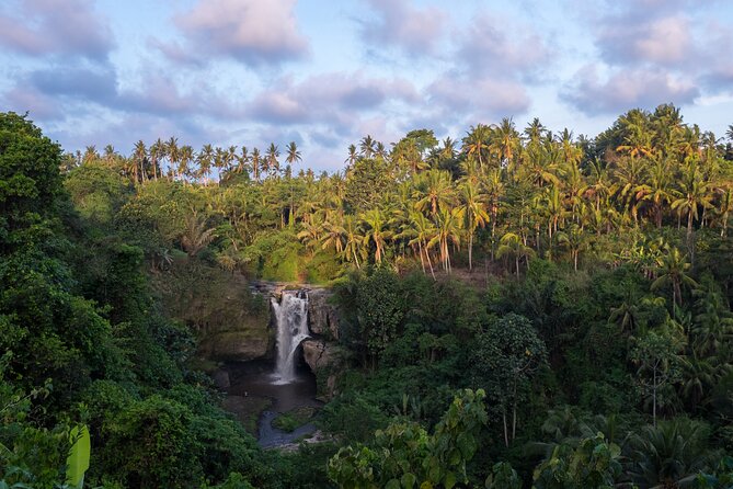 Ubud waterfall, rice terraces, and swing explore - The Ubud jungle swing and the extra charge