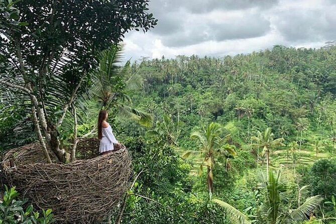 Ubud waterfall, rice terraces, and swing explore - The driver can shape the whole day