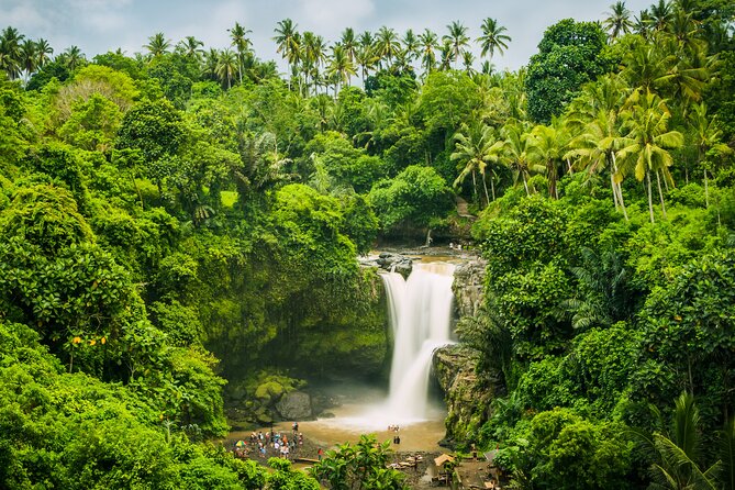 Ubud waterfall, rice terraces, and swing explore - Price, meals, and what is included