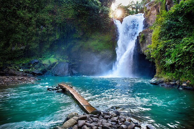 Ubud waterfall, rice terraces, and swing explore - Walking the Tegalalang rice terraces