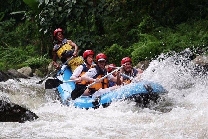 Ubud White Water Rafting with Waterfall and Lunch - Key details before you book