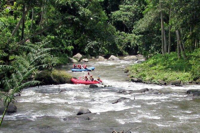Ubud White Water Rafting with Waterfall and Lunch - Who will enjoy this Ayung River trip most?