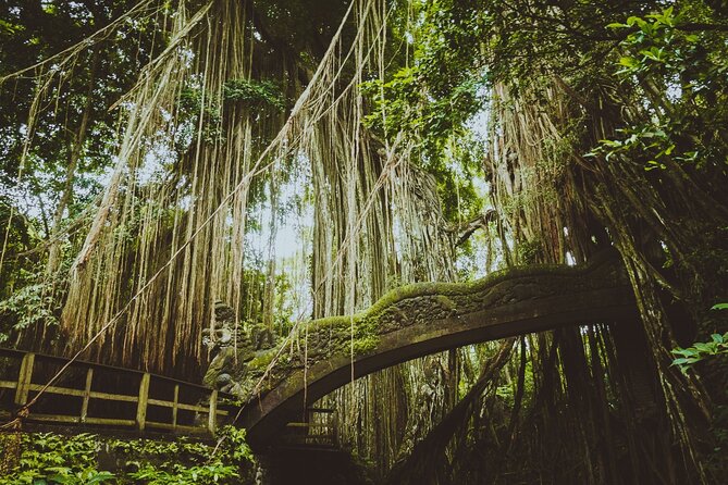 Ultimate Ubud Experience All Inclusive Private Day Tour - A long road from Kuta to central Bali