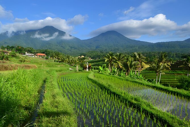 UNESCO Jatiluwih Rice Terrace and Tanah Lot Sunset Tour - Key points to know before booking