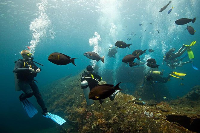 USS Liberty Shipwreck Scuba Diving at Tulamben Bali - Why the USS Liberty makes a strong Bali day trip